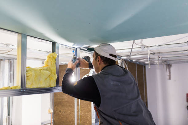 Best Attic Insulation Installation  in Hawaiian Gardens, CA